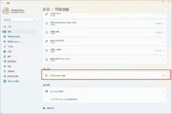 Windows 11 可选功能